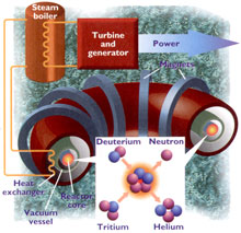 fusion reactor