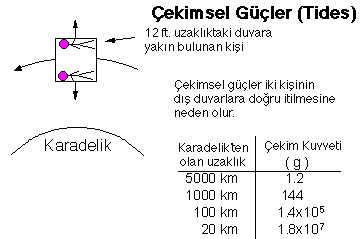 Tides near a black hole.