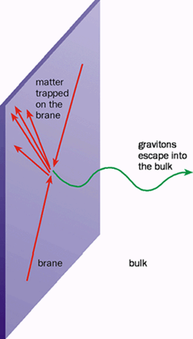 The world on a brane